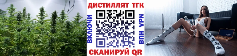наркотики  kraken зеркало  ТГК THC oil  Цоци-Юрт 