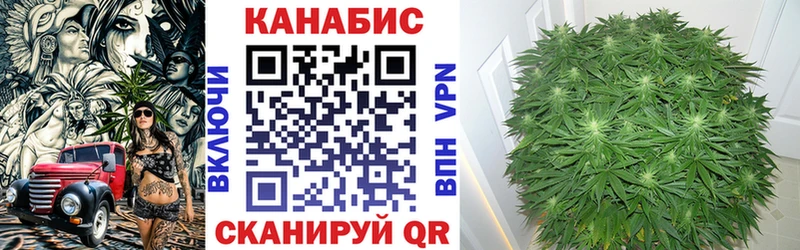 Бошки марихуана гибрид  ссылка на мегу   Цоци-Юрт  магазин   